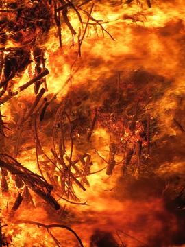 tourifee-fire-1629975_1920