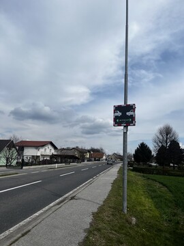 borovci-2