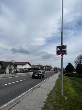 borovci-3